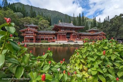 Grand Circle Island with Haleiwa Town Tour