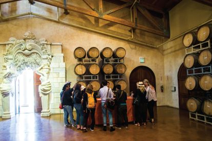 Half Day Wine Country Tour