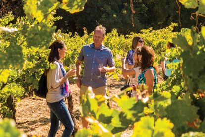 Half Day Wine Country Tour