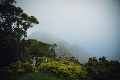 Waimea Canyon & Koke'e Adventure