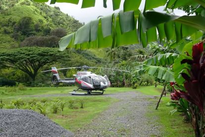 Hana Rainforest Experience by Maverick Helicopters 