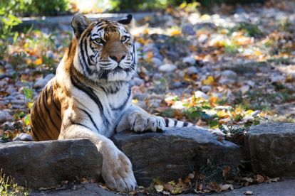 Philadelphia Zoo