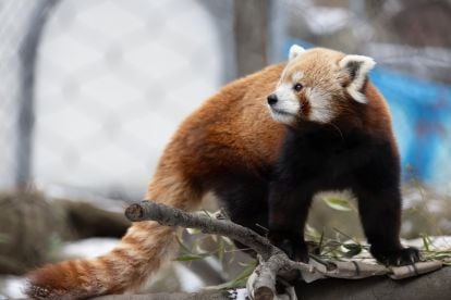 Philadelphia Zoo