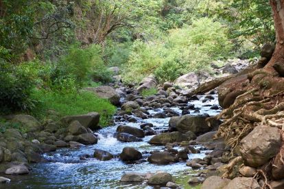 Best Of Maui, Haleakala, Iao Valley Tour