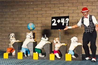 Popovich Comedy PET Theater