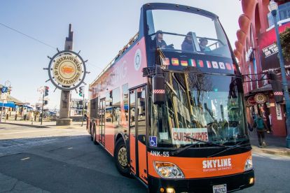 Hop On Hop Off Bus Tours