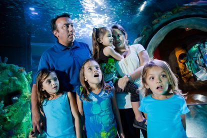 SEA LIFE Aquarium Arizona