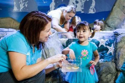 SEA LIFE Aquarium Arizona
