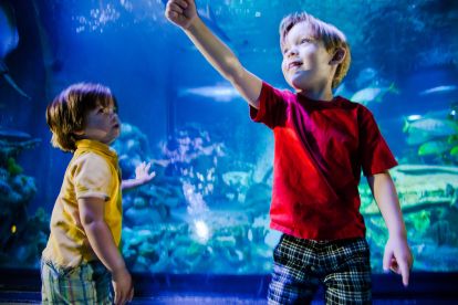 SEA LIFE Aquarium Charlotte-Concord