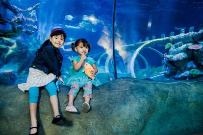 SEA LIFE Aquarium Grapevine