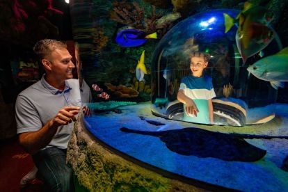 SEA LIFE Aquarium Michigan