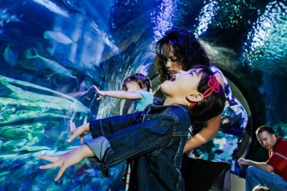 SEA LIFE Aquarium Minnesota