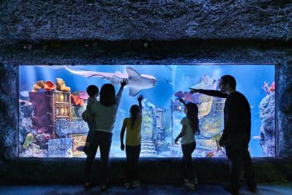 SEA LIFE Aquarium New Jersey 