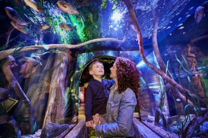 SEA LIFE Aquarium New Jersey 
