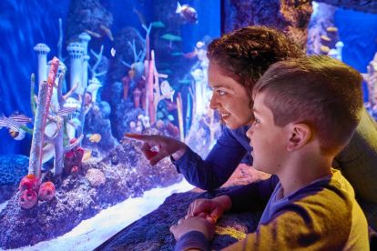 SEA LIFE Aquarium New Jersey 