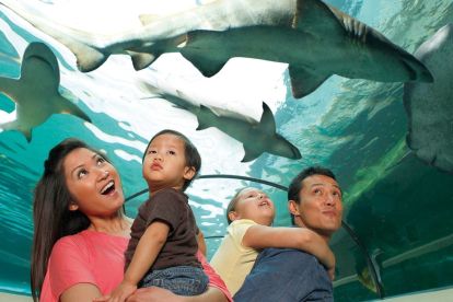 SEA LIFE Aquarium New Jersey 