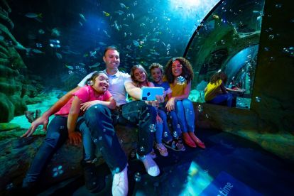 SEA LIFE Aquarium Orlando 