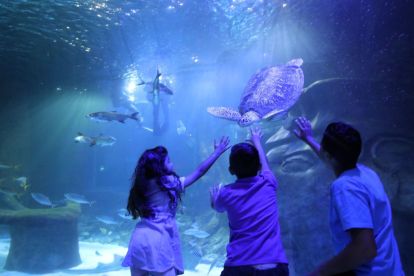 SEA LIFE Aquarium Orlando 