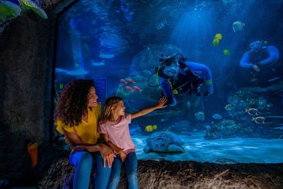 SEA LIFE Aquarium Orlando 