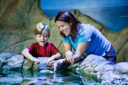 SEA LIFE Aquarium San Antonio