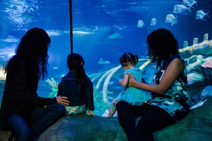SEA LIFE Aquarium San Antonio