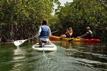 Sunset Watersports Key West: Sandbar Experiences 
