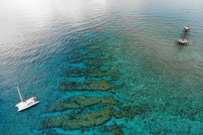 Sunset Watersports Key West: Snorkeling Experiences