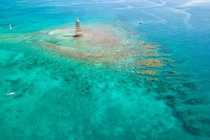 Sunset Watersports Key West: Snorkeling Experiences
