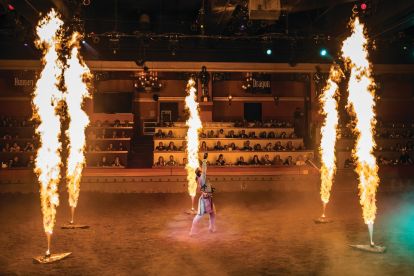 Tournament of Kings Dinner & Show
