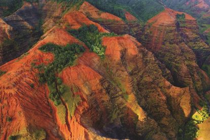 Waimea Canyon & Koke'e Adventure