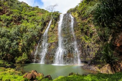 Waimea Canyon, Wailua River & Fern Grotto Tour