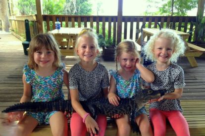 Gray Line Orlando: Wild Florida Airboat Tours with Roundtrip Transportation