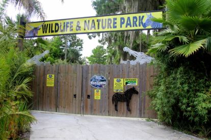 Gray Line Orlando: Wild Florida Airboat Tours with Roundtrip Transportation