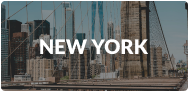 Search New York
